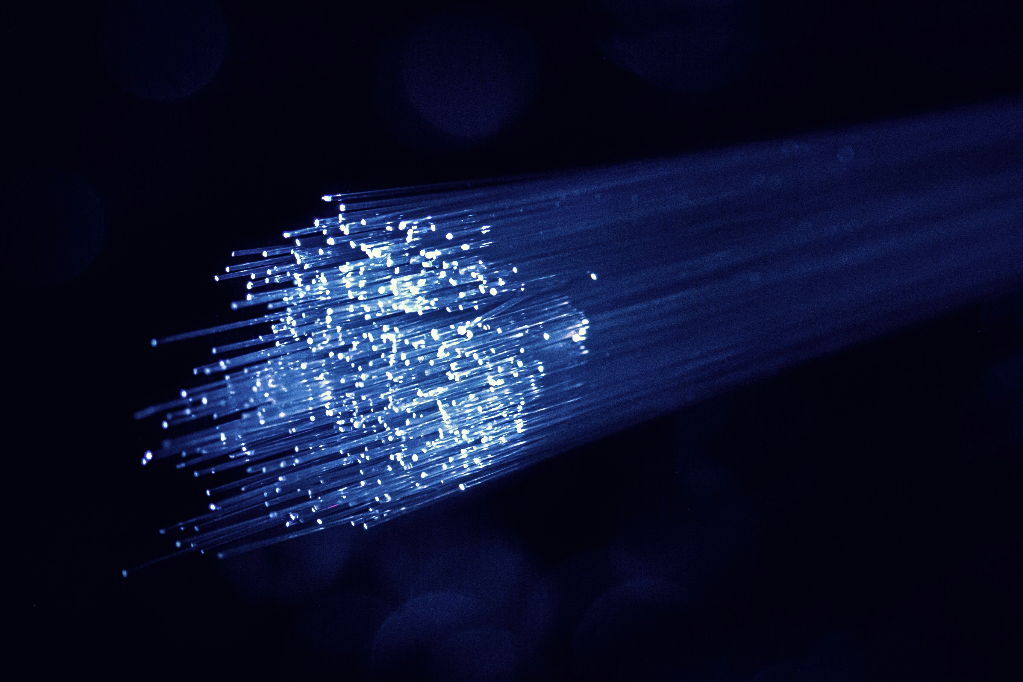 Fiber Optic Networks